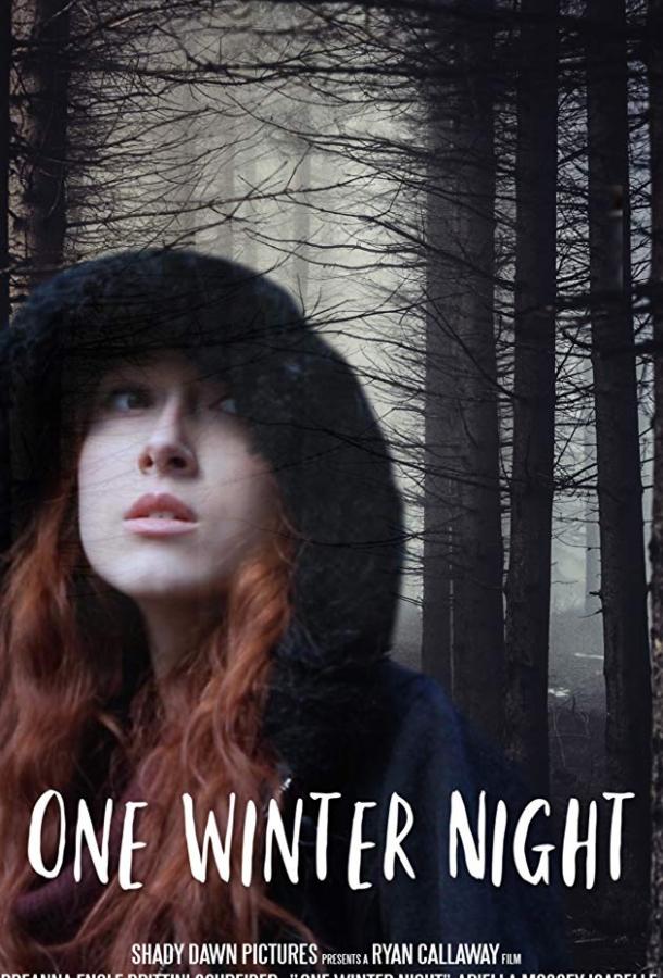   One Winter Night (2019) 