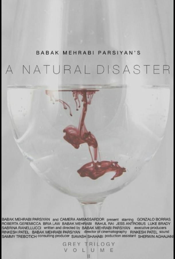 Стихийное бедствие / A Natural Disaster (2016) 
