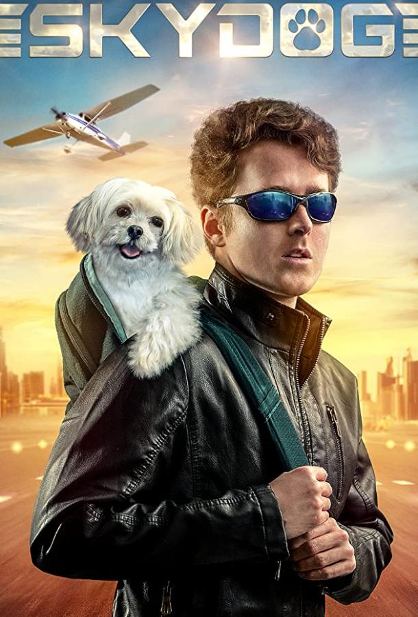Небесный пёс фильм (2020)