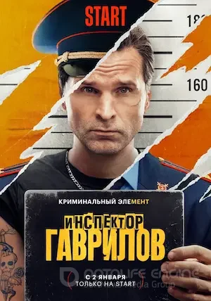 Инспектор Гаврилов 1 сезон 17 серия  